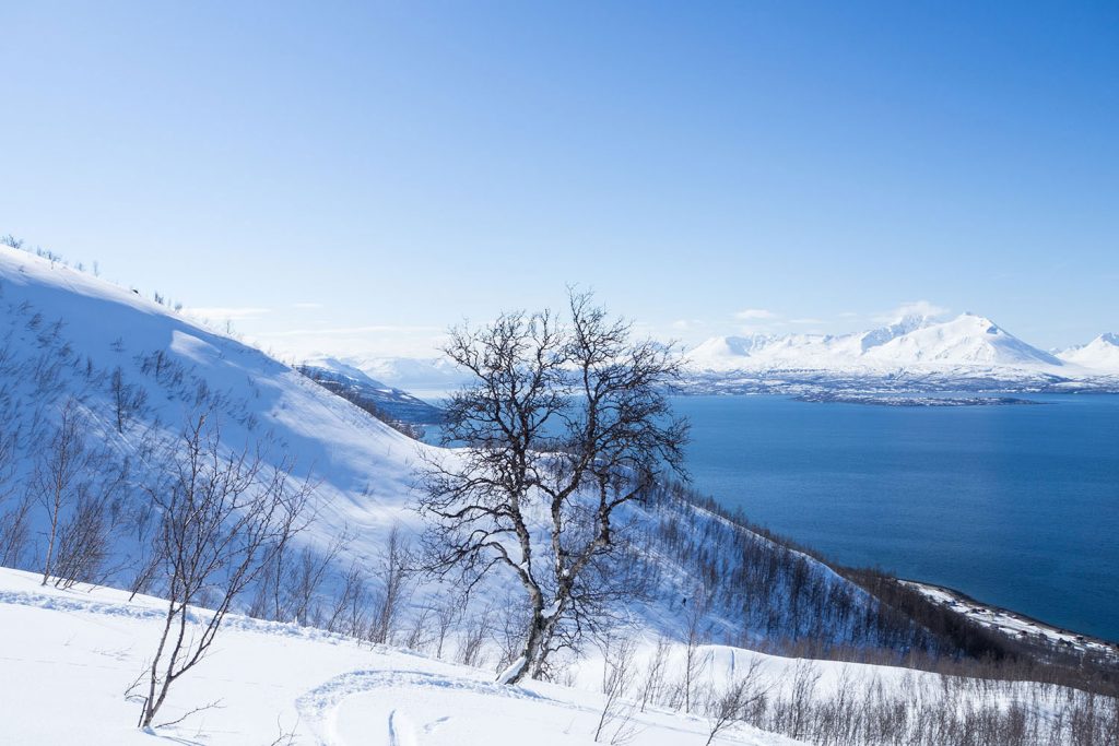 5 Skitour highlights in Lyngenfjord