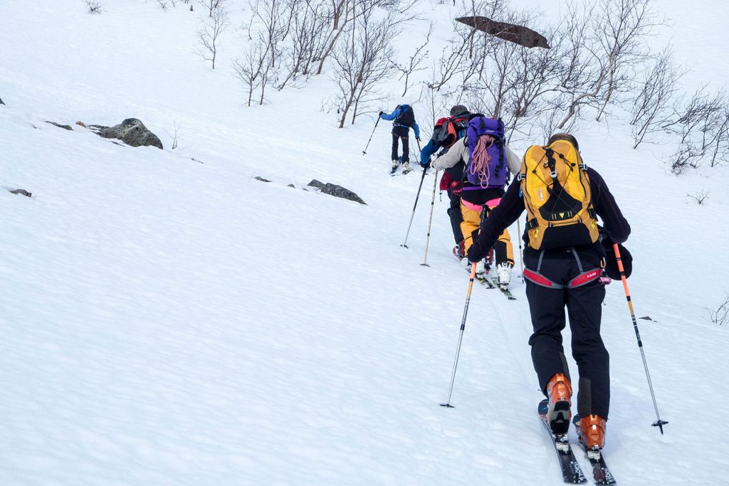 5 Skitour highlights in Lyngenfjord
