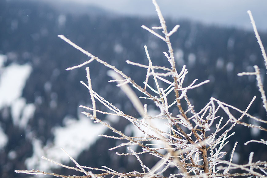 Den wahren Gipfel erreichst Du nie