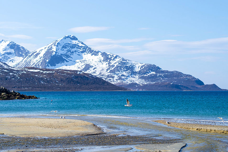 Oh, wie schön ist…