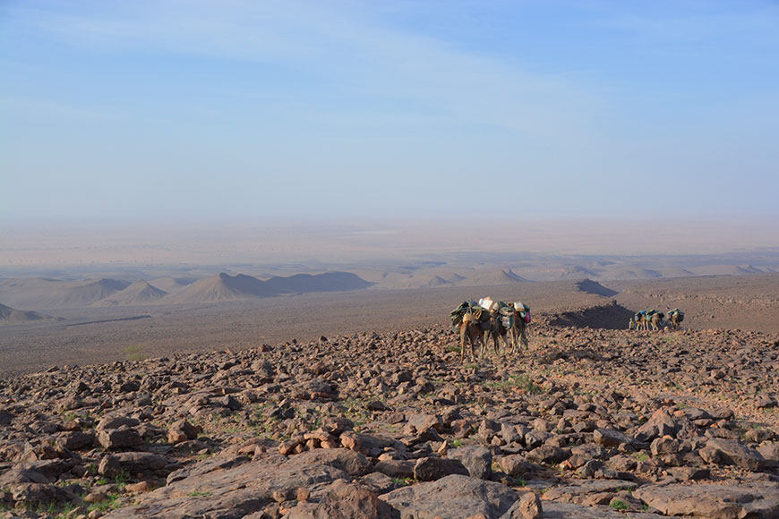 Analoge Nomaden – offline durch Marokko