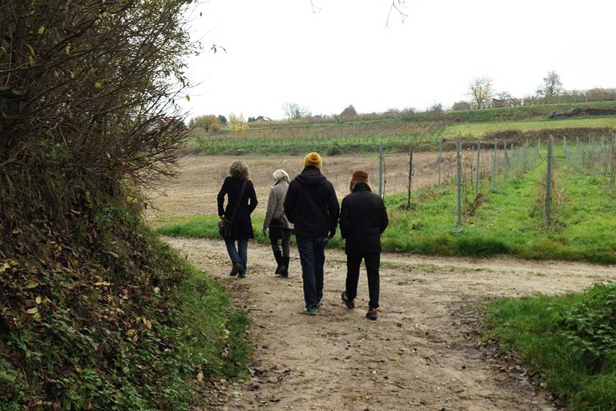 Advent im Kaiserstuhl – mit allen Sinnen