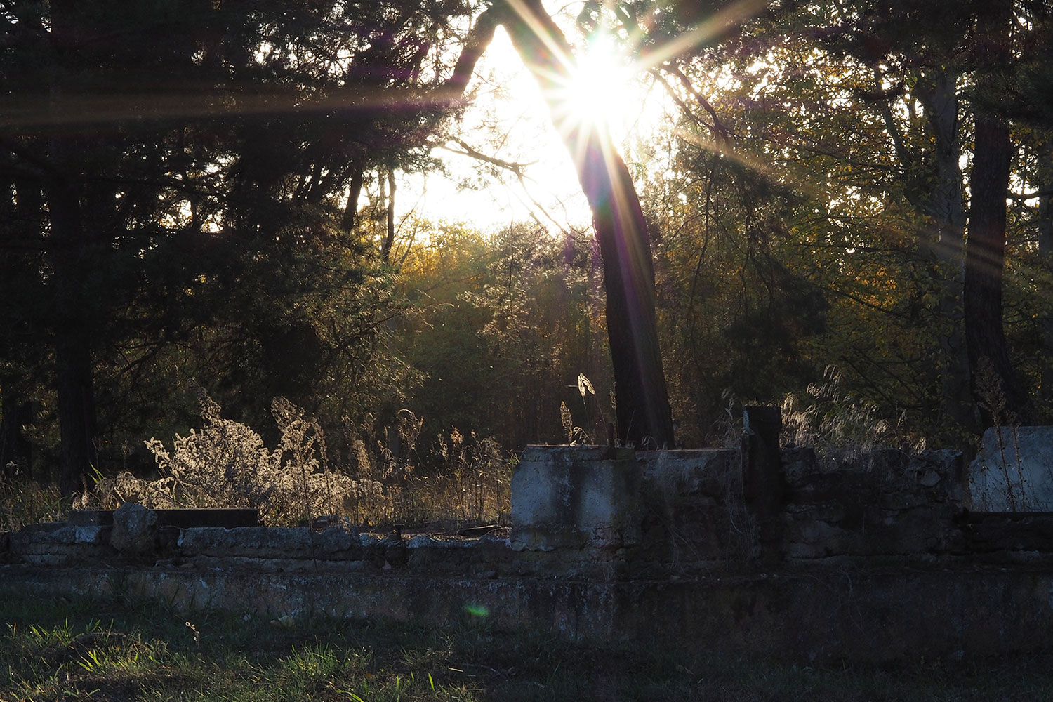 Olympisches Dorf Berlin – eine Zeitreise