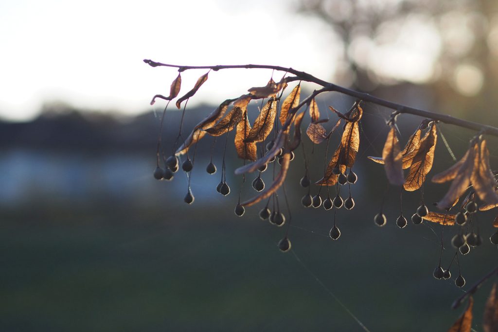 Olympisches Dorf Berlin – eine Zeitreise