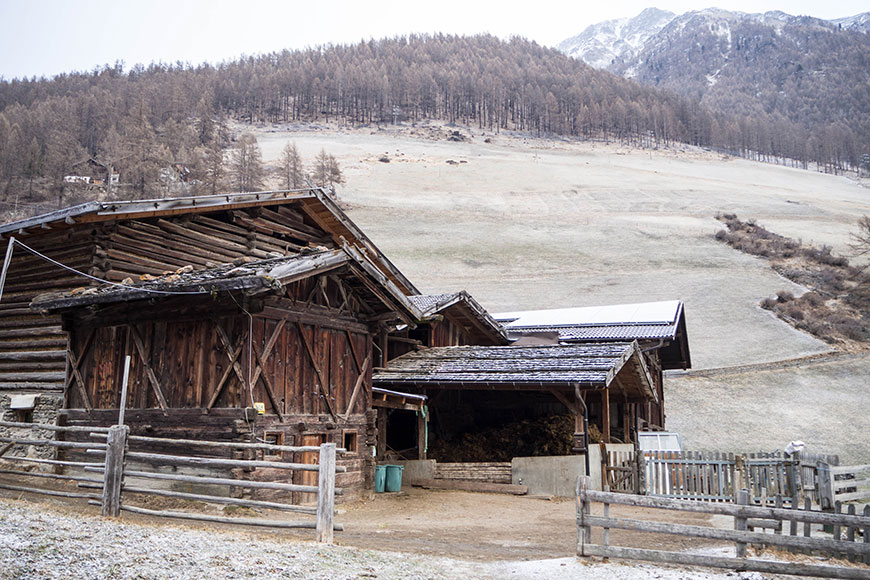 Nur die Ruhe – und ein Lächeln