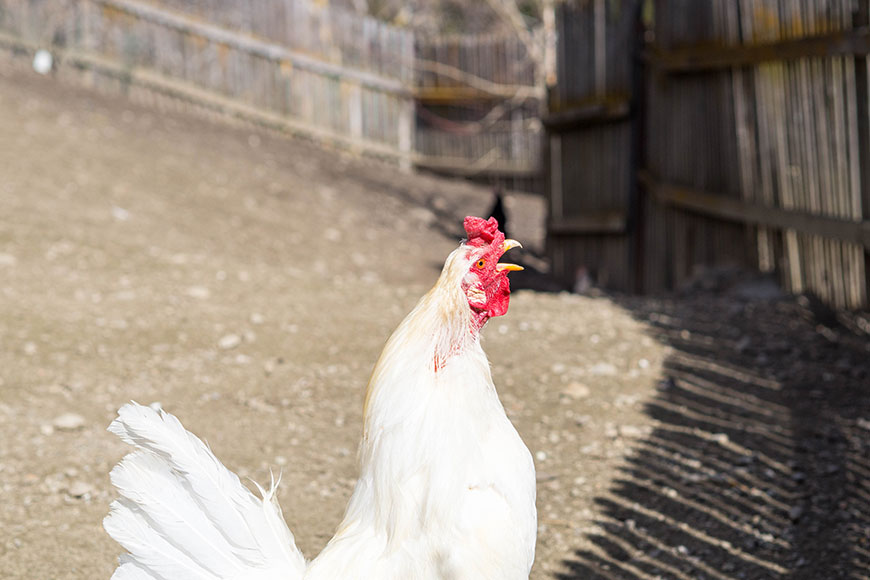 Nur die Ruhe – und ein Lächeln