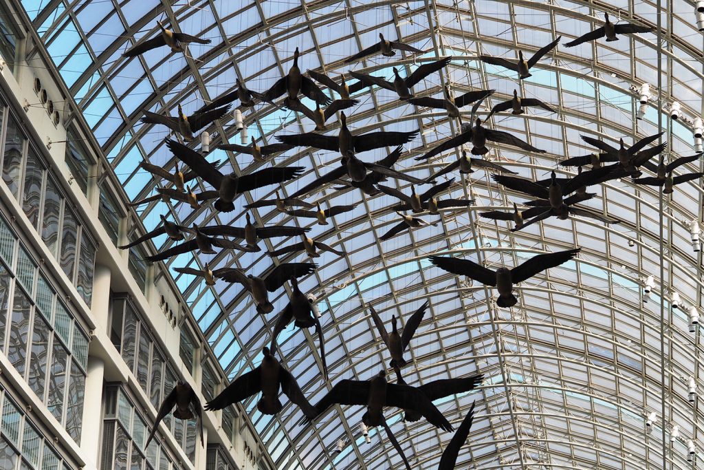 Toronto und ich – Solo Traveler