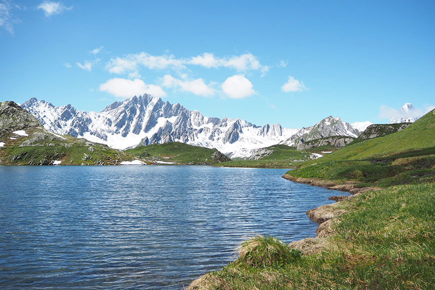 Die guten Seelen von Sankt Bernard