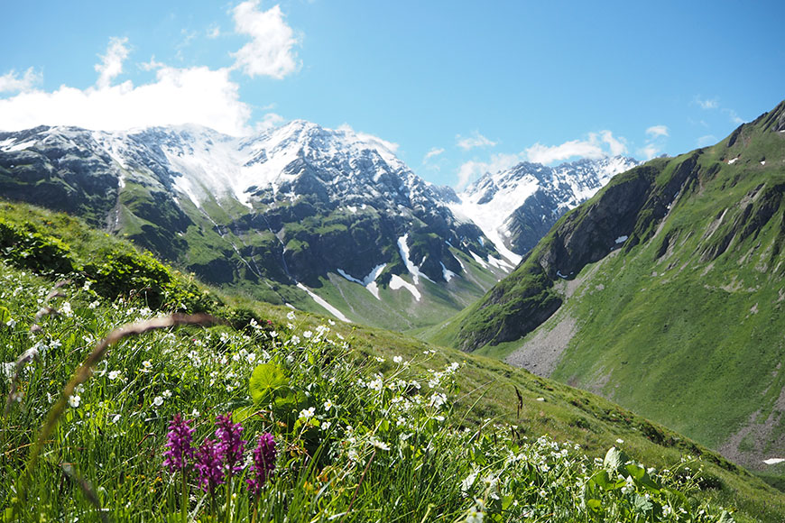 Die guten Seelen von Sankt Bernard