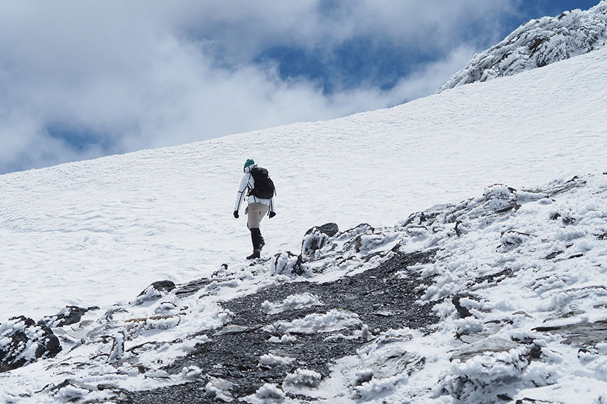 Die guten Seelen von Sankt Bernard
