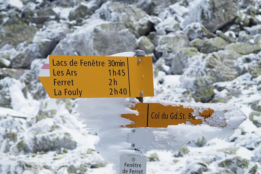 Die guten Seelen von Sankt Bernard