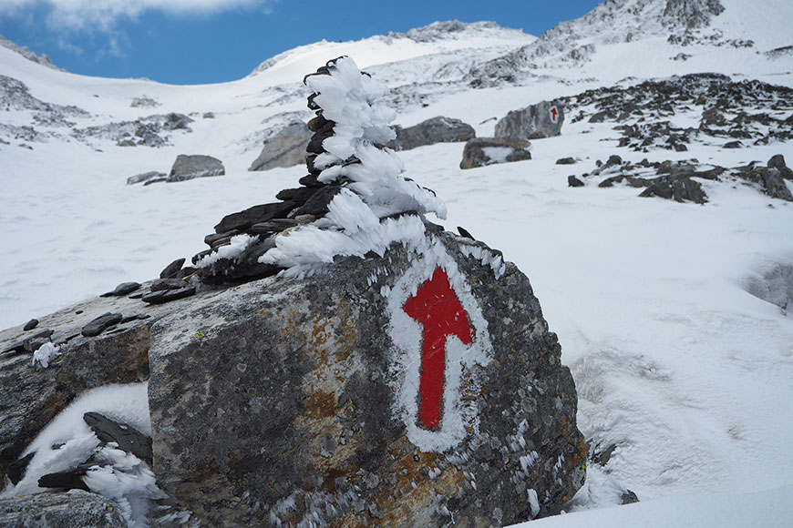 Die guten Seelen von Sankt Bernard