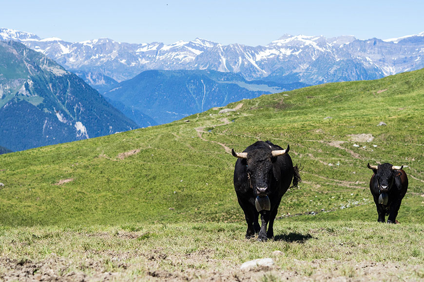 Verbier. Endorphin trifft Adrenalin.