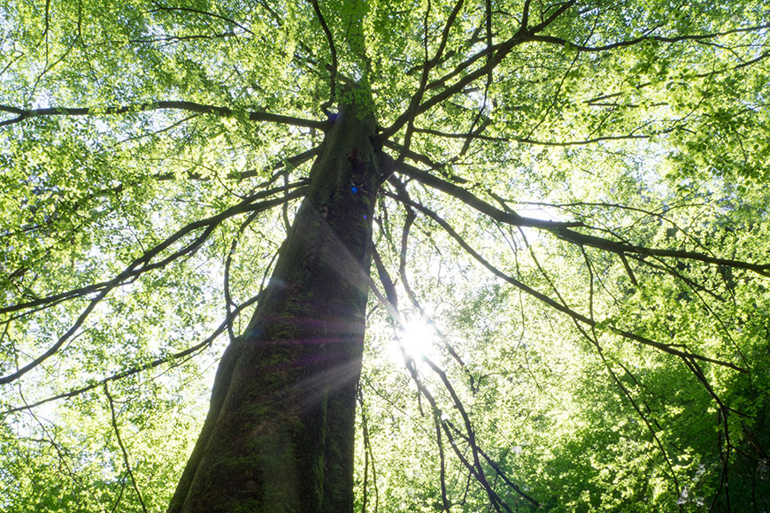 A Sunday Micro Adventure