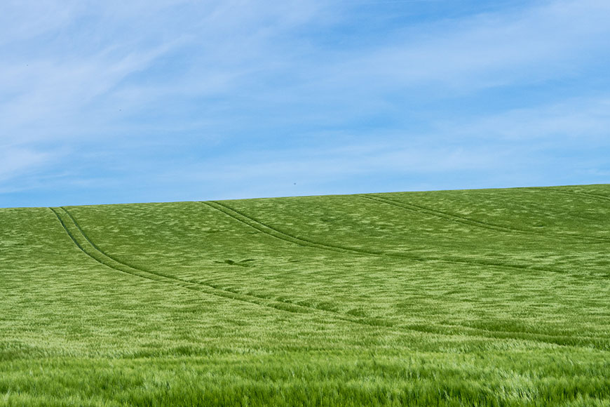 A Sunday Micro Adventure