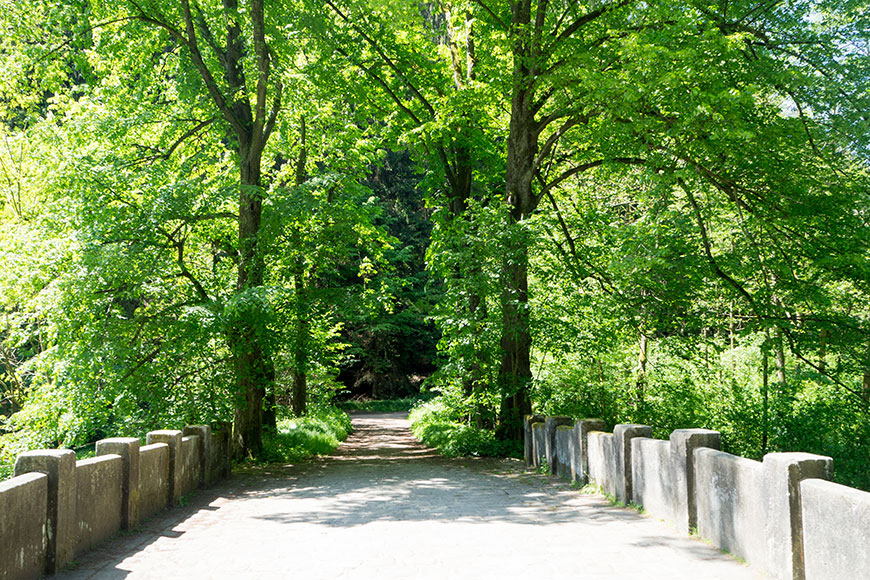 A Sunday Micro Adventure