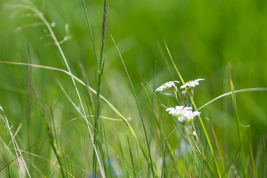 A Sunday Micro Adventure