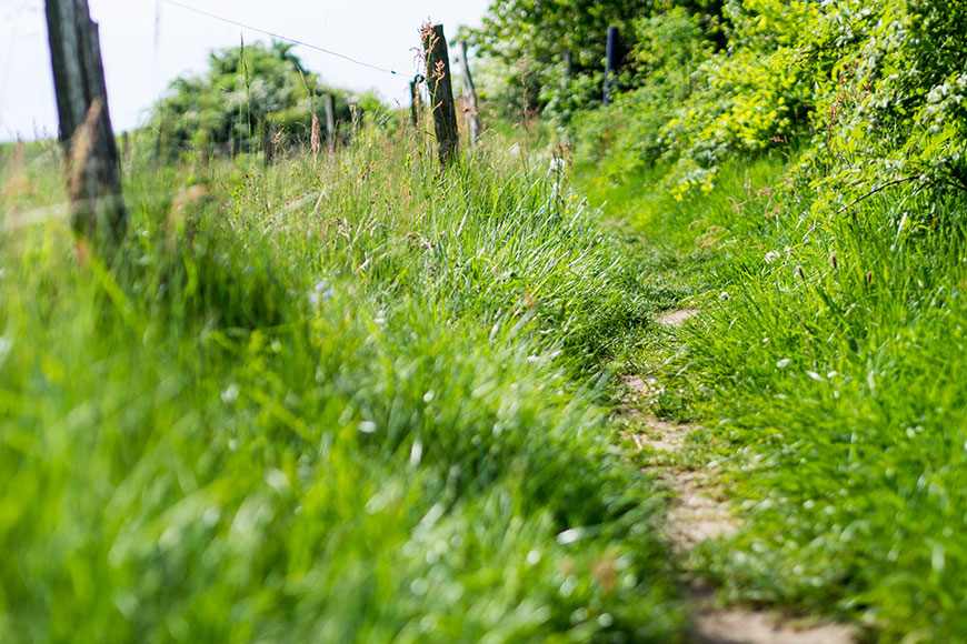 A Sunday Micro Adventure