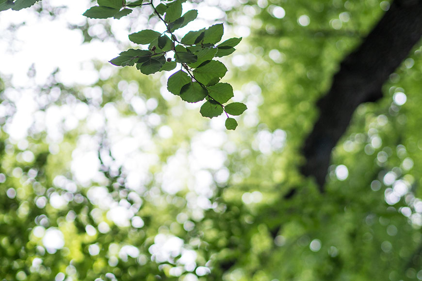 A Sunday Micro Adventure