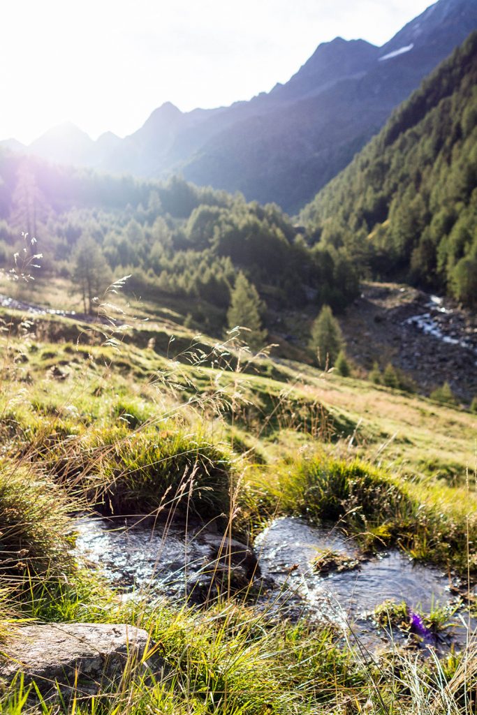 Meraner Höhenweg – reloaded