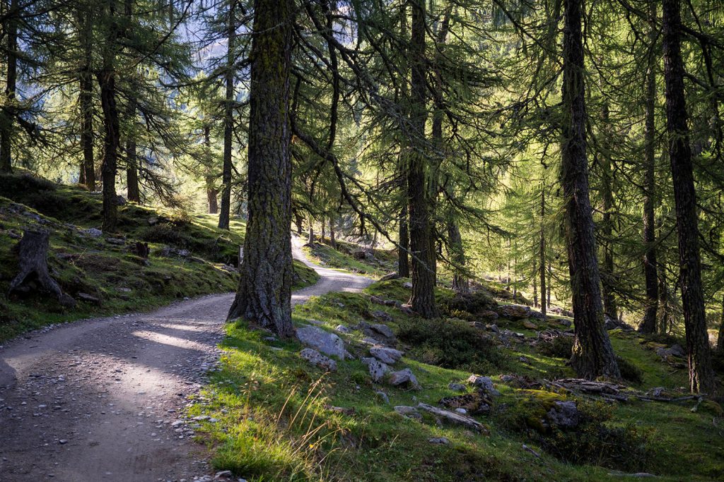 Meraner Höhenweg – reloaded