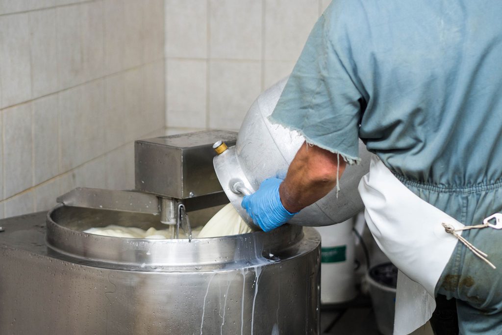 Abenteuer Almleben – vom Reichtum der Entbehrung