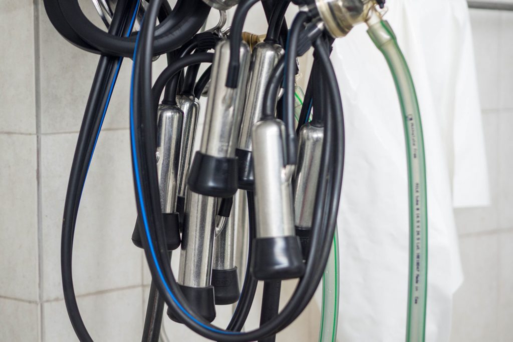 Abenteuer Almleben – vom Reichtum der Entbehrung