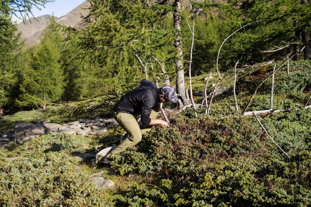Meraner Höhenweg – reloaded