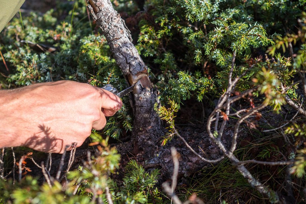 Meraner Höhenweg – reloaded