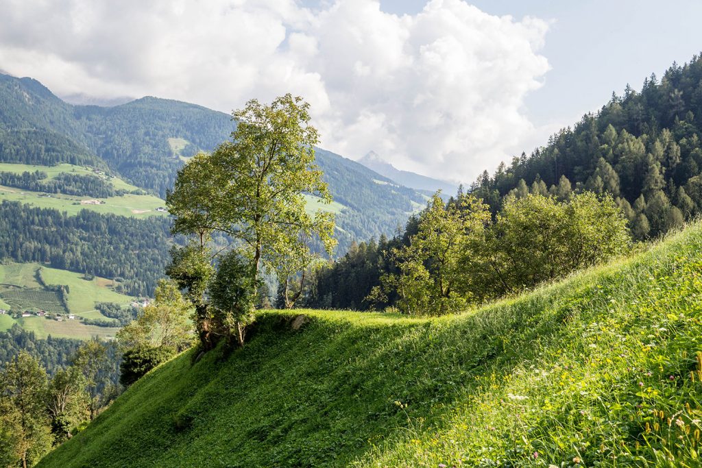 Meraner Höhenweg – reloaded
