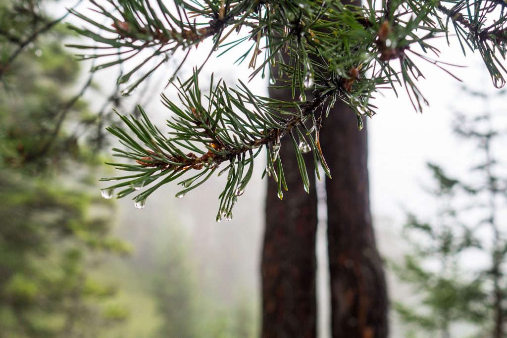 Tested Tough – raus in den Regen