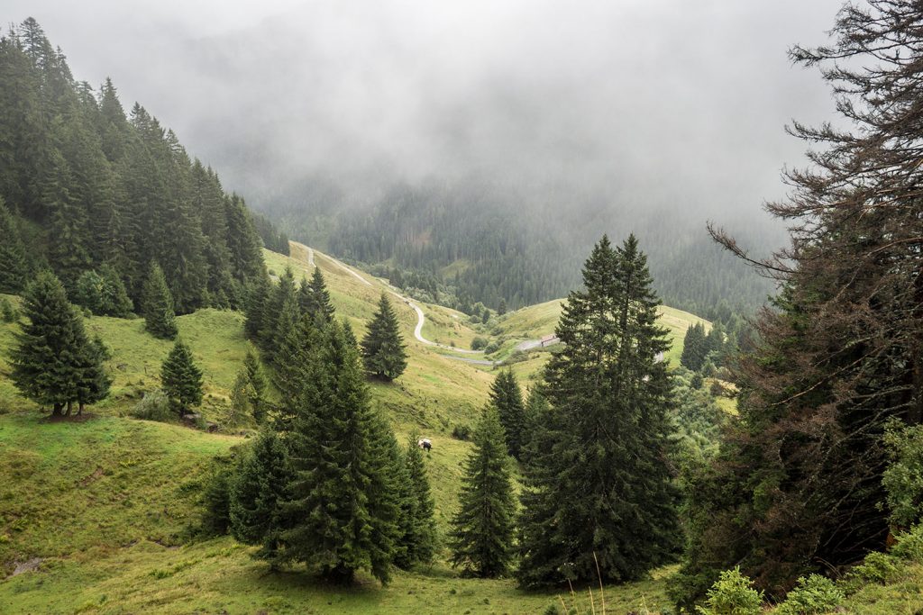 Tested Tough – raus in den Regen