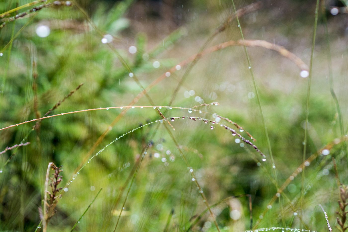 Tested Tough – raus in den Regen