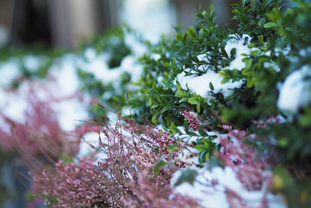 Inselhopping in Daunenjacke