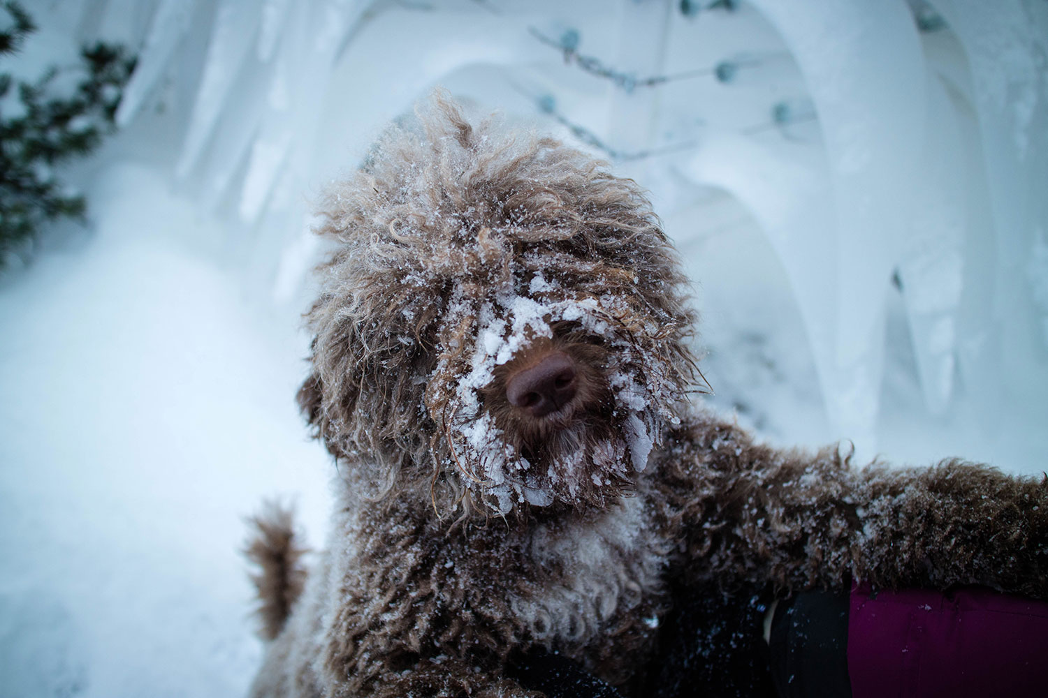 Inselhopping in Daunenjacke