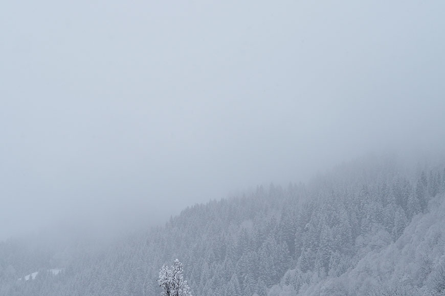 Seitenschwung in Davos – Learn to Ski