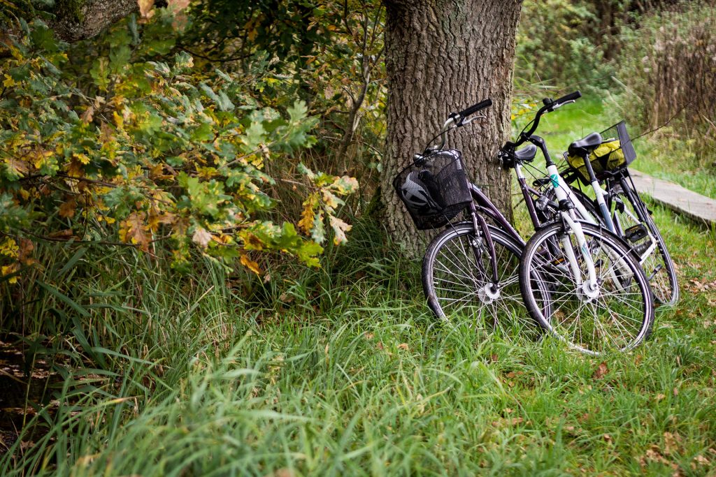 Fünf Mal von Null auf Hundert