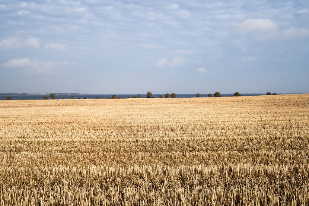 Fünf Mal von Null auf Hundert