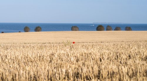 Fünf Mal von Null auf Hundert