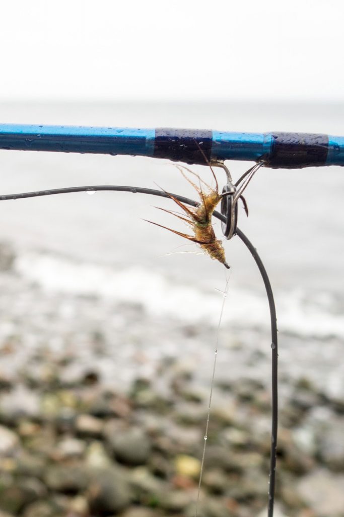 Fünf Mal von Null auf Hundert