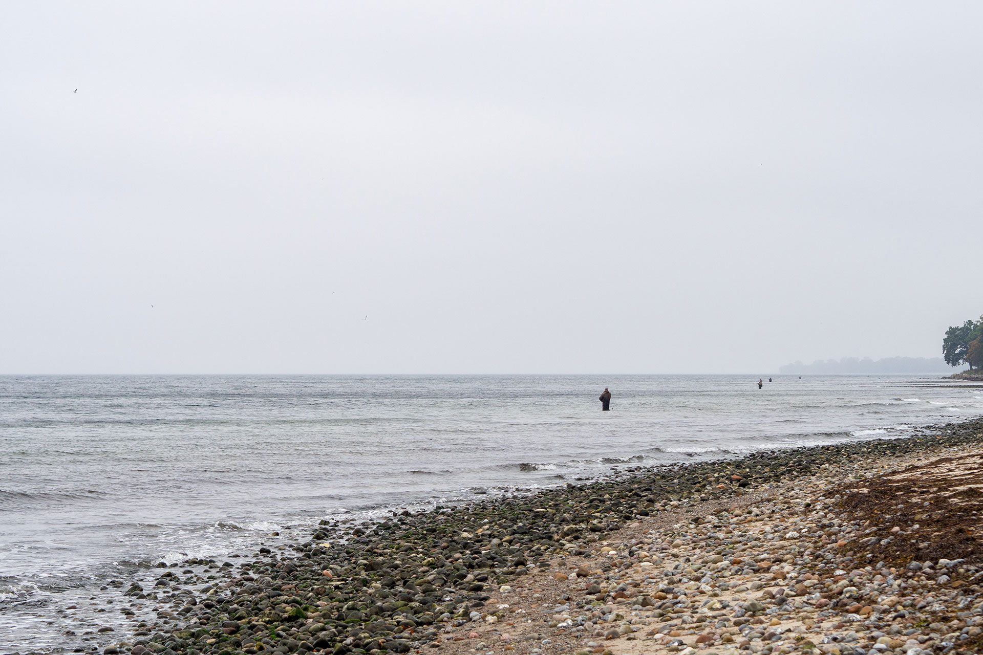 Fünf Mal von Null auf Hundert