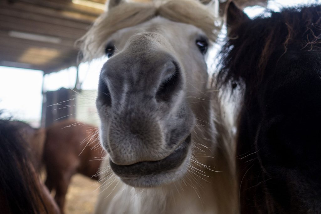 Fünf Mal von Null auf Hundert