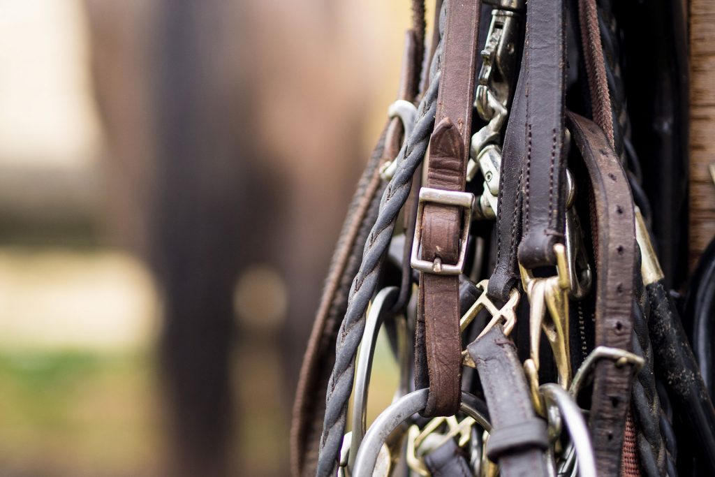 Fünf Mal von Null auf Hundert