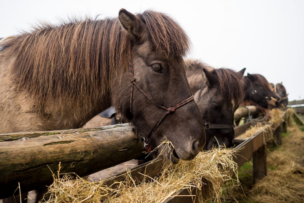 Fünf Mal von Null auf Hundert
