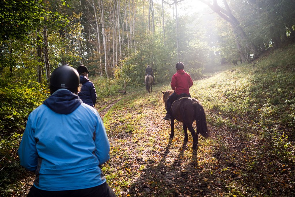 Fünf Mal von Null auf Hundert