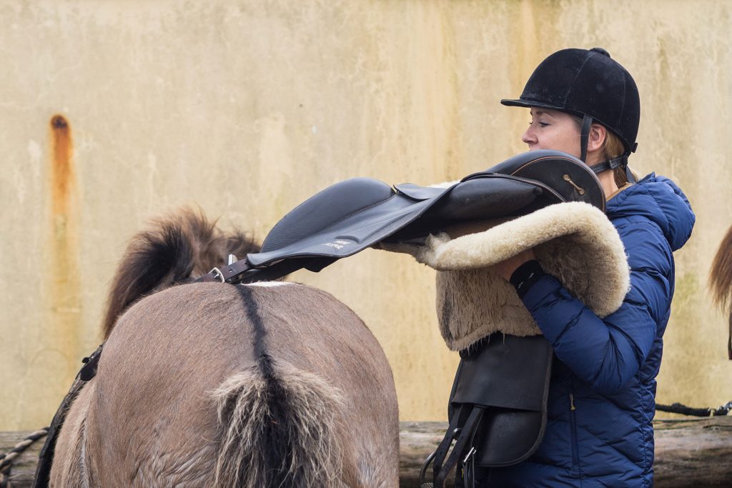 Fünf Mal von Null auf Hundert