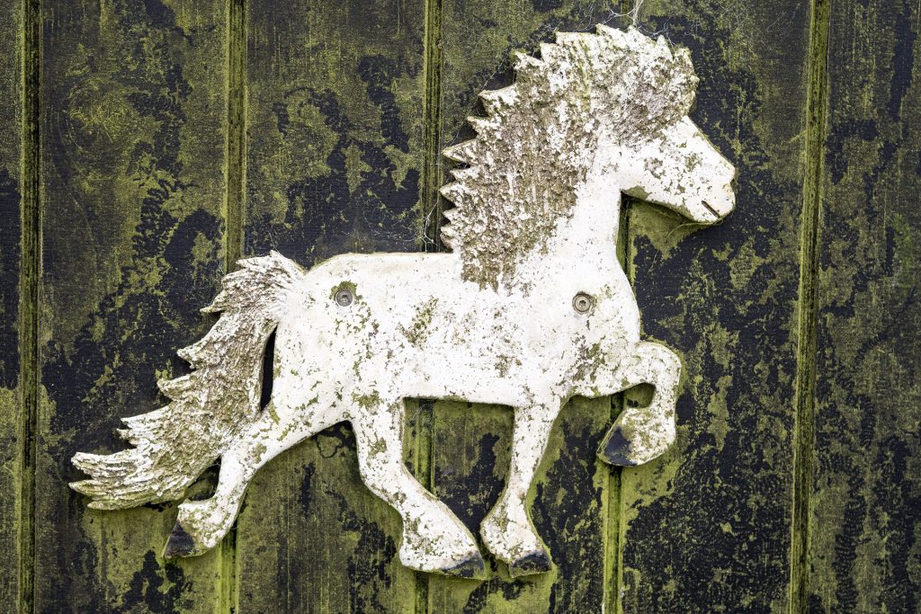 Fünf Mal von Null auf Hundert