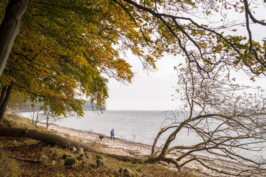 Fünf Mal von Null auf Hundert