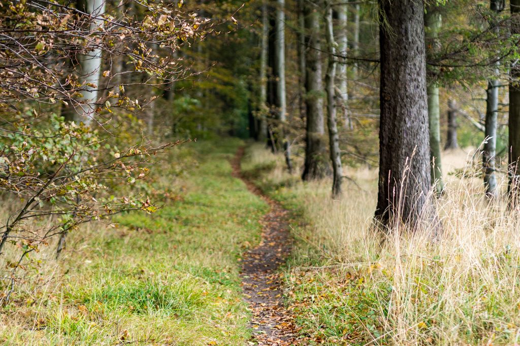 Fünf Mal von Null auf Hundert