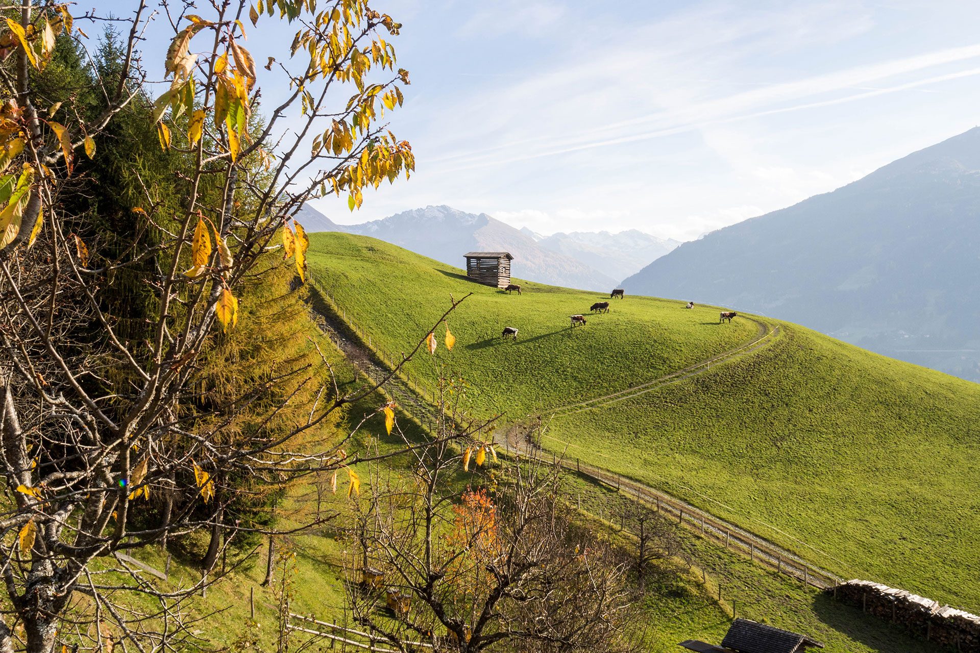 Unterwegs in Gastein – vom Suchen und vom Finden